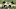 Steelers Steelers
