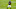 Pittsburgh Steelers Pittsburgh Steelers