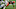 Pittsburgh Steelers Pittsburgh Steelers