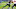 Pittsburgh Steelers Pittsburgh Steelers