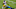 Pittsburgh Steelers Pittsburgh Steelers