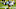Pittsburgh Steelers Pittsburgh Steelers