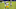 Pittsburgh Steelers Pittsburgh Steelers