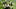 Steelers Steelers