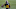 Steelers Steelers