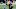 Dec 2, 2020; Pittsburgh, Pennsylvania, USA; Pittsburgh Steelers quarterback Ben Roethlisberger (7) Mandatory Credit: Charles LeClaire-USA TODAY Sports Dec 2, 2020; Pittsburgh, Pennsylvania, USA; Pittsburgh Steelers quarterback Ben Roethlisberger (7) Mandatory Credit: Charles LeClaire-USA TODAY Sports