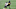 Steelers Steelers