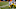 Steelers Steelers