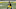 Steelers Steelers