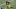 Steelers Eric Ebron (85) Mandatory Credit: Charles LeClaire-USA TODAY Sports Steelers Eric Ebron (85) Mandatory Credit: Charles LeClaire-USA TODAY Sports