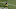 Steelers Steelers