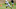 Las Vegas Raiders cornerback Casey Hayward Jr. (29) Mandatory Credit: Kirby Lee-USA TODAY Sports Las Vegas Raiders cornerback Casey Hayward Jr. (29) Mandatory Credit: Kirby Lee-USA TODAY Sports