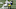 Sep 19, 2021; Pittsburgh, Pennsylvania, USA; Pittsburgh Steelers wide receiver Diontae Johnson (18) Mandatory Credit: Charles LeClaire-USA TODAY Sports Sep 19, 2021; Pittsburgh, Pennsylvania, USA; Pittsburgh Steelers wide receiver Diontae Johnson (18) Mandatory Credit: Charles LeClaire-USA TODAY Sports