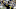 Steelers Steelers