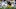 SteelersMandatory Credit: Charles LeClaire-USA TODAY Sports SteelersMandatory Credit: Charles LeClaire-USA TODAY Sports