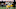 Steelers Steelers