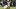 Steelers Steelers