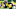 Pittsburgh Steelers cornerback Levi Wallace Mandatory Credit: Charles LeClaire-USA TODAY Sports Pittsburgh Steelers cornerback Levi Wallace Mandatory Credit: Charles LeClaire-USA TODAY Sports