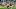 Steelers Steelers