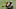 Steelers Steelers