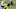 Steelers Steelers