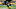 Steelers Steelers