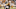 Steelers Steelers