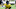 Steelers Steelers