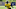 Steelers Steelers