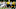 Steelers Steelers
