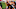 Cincinnati Bengals Cincinnati Bengals
