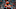 Cincinnati Bengals Cincinnati Bengals