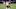 BALTIMORE, MD – DECEMBER 31: Cornerback Darqueze Dennard #21 of the Cincinnati Bengals returns an interception for a touchdown in the third quarter against the Baltimore Ravens at M&T Bank Stadium on December 31, 2017 in Baltimore, Maryland. (Photo by Rob Carr/Getty Images) BALTIMORE, MD – DECEMBER 31: Cornerback Darqueze Dennard #21 of the Cincinnati Bengals returns an interception for a touchdown in the third quarter against the Baltimore Ravens at M&T Bank Stadium on December 31, 2017 in Baltimore, Maryland. (Photo by Rob Carr/Getty Images)