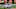 Cincinnati Bengals Cincinnati Bengals