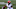 Cincinnati Bengals Cincinnati Bengals