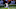 Cincinnati Bengals Cincinnati Bengals