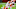 Cincinnati Bengals Cincinnati Bengals