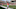 Cincinnati Bengals Cincinnati Bengals