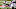 Cincinnati Bengals Cincinnati Bengals