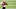 Cincinnati Bengals Cincinnati Bengals