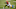 Cincinnati Bengals (Photo by Andy Lyons/Getty Images) Cincinnati Bengals (Photo by Andy Lyons/Getty Images)