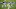 Cincinnati Bengals Cincinnati Bengals