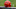 Cincinnati Bengals (Photo by Rob Carr/Getty Images) Cincinnati Bengals (Photo by Rob Carr/Getty Images)