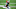 Cincinnati Bengals Cincinnati Bengals