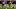 Cincinnati Bengals Cincinnati Bengals