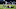 Cincinnati Bengals Cincinnati Bengals