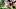 Cincinnati Bengals Cincinnati Bengals