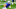 Cincinnati Bengals Cincinnati Bengals