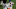 Cincinnati Bengals Cincinnati Bengals
