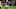 Cincinnati Bengals Cincinnati Bengals